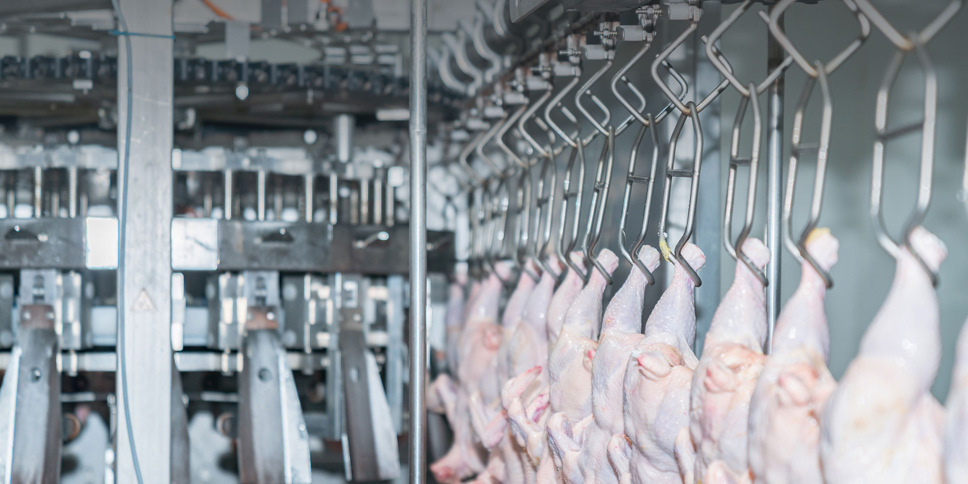 冷凍食品解決方案