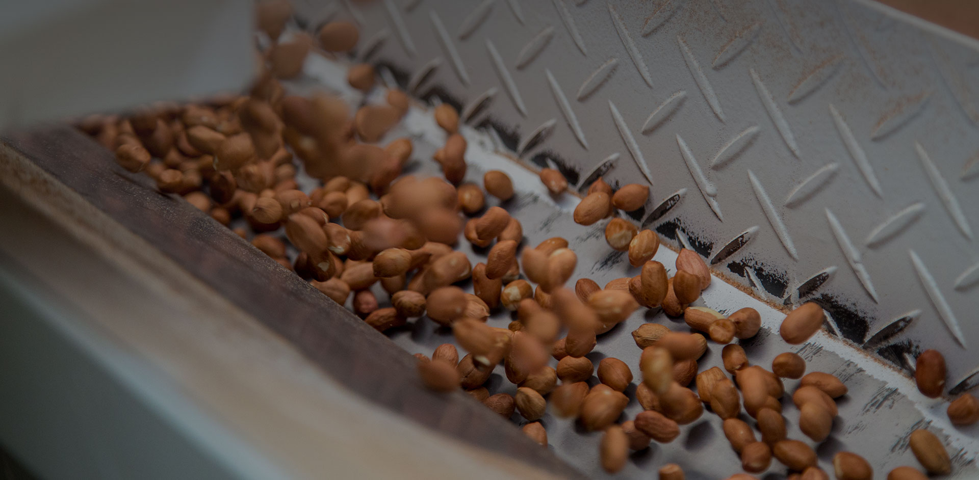 堅(jiān)果零食解決方案