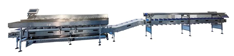 榴蓮翻板式組合秤:為榴蓮果肉行業(yè)發(fā)展注入新動力